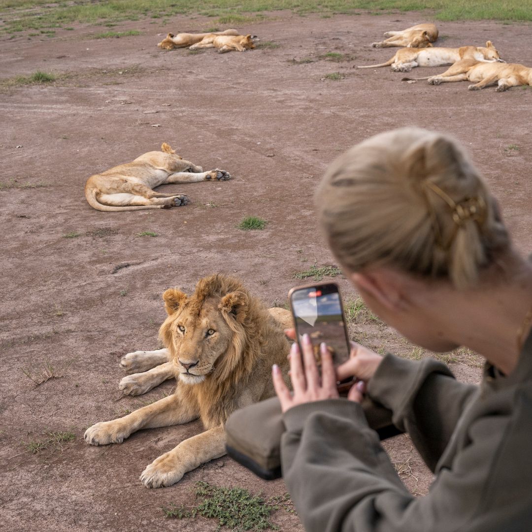 Tanzania safari